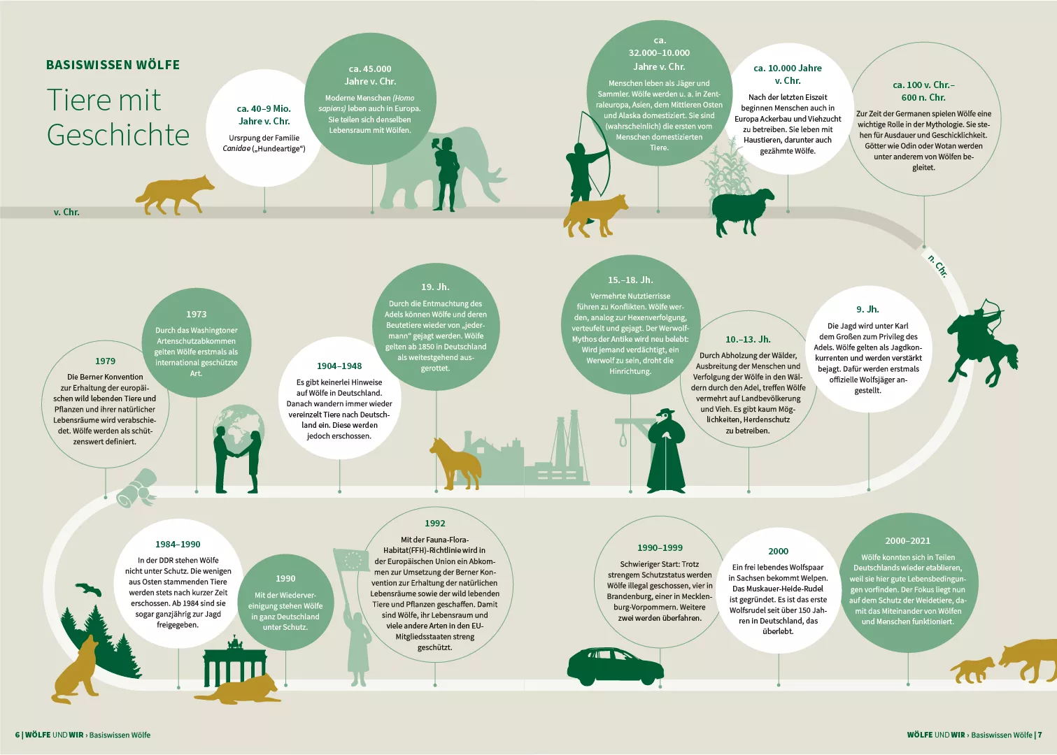 Infografik Basiswissen Wölfe