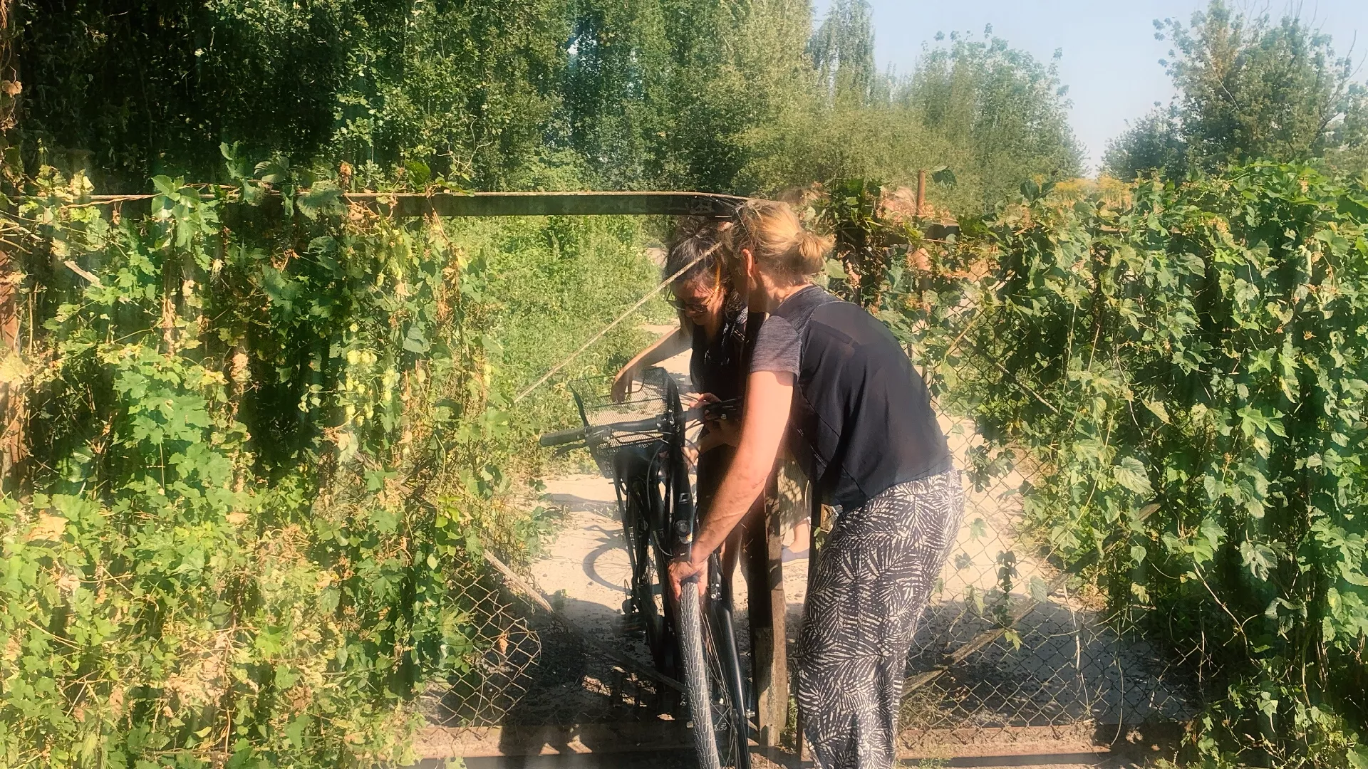 publicgarden Team, Person steigt mit Fahrrad durch Zaun