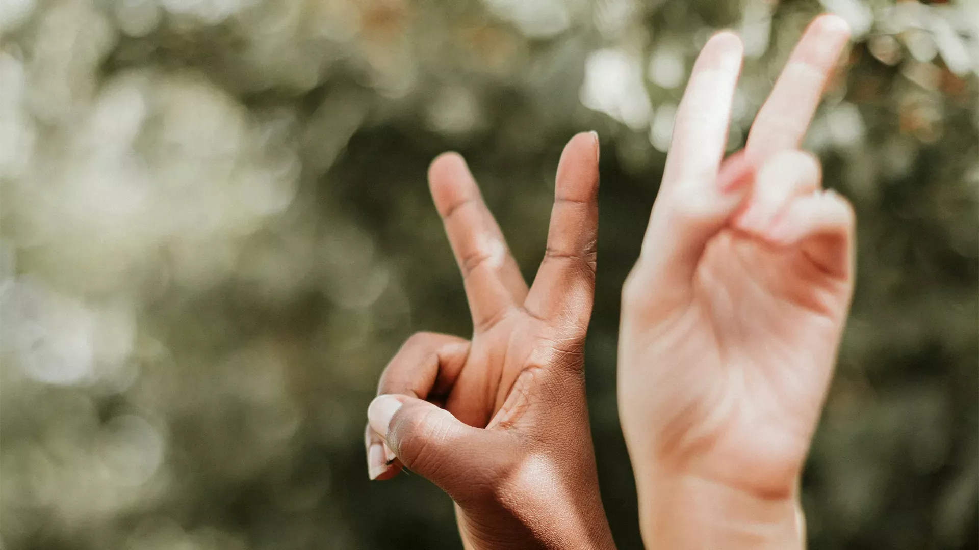 zwei Hände zeigen zwei Finger hoch